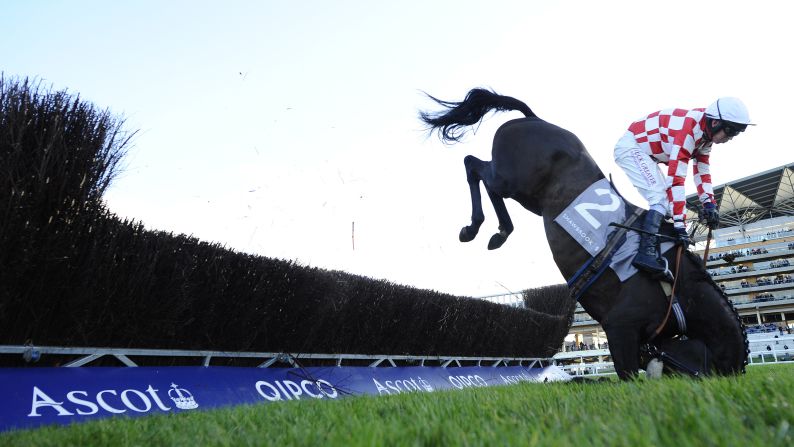Rider Leighton Aspell and horse Puffin Billy fall at the Ascot racecourse on December 20 in England. The horse is fine, <a href="index.php?page=&url=https%3A%2F%2Ftwitter.com%2FOliverSherwood%2Fstatus%2F546587368711811073" target="_blank" target="_blank">his trainer tweeted</a> on Sunday.