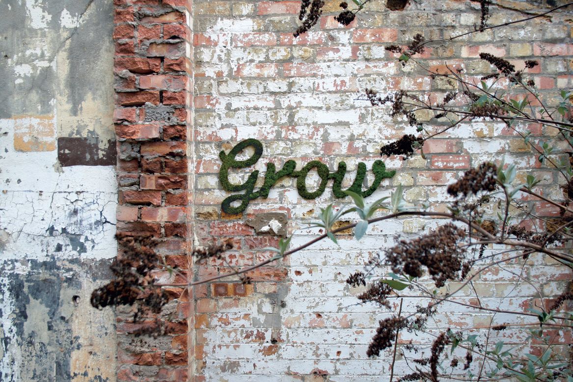 <strong>Anna Garforth </strong><br />"<em>Grow</em>," London, 2012, moss<br /><br />Londoner Anna Garforth invented "moss typography" after a visit to graveyard, where moss had filled the lettering of a headstone to create cursive shapes. Taking inspiration, she has created neatly designed organic bodies that invite viewers to touch them. 