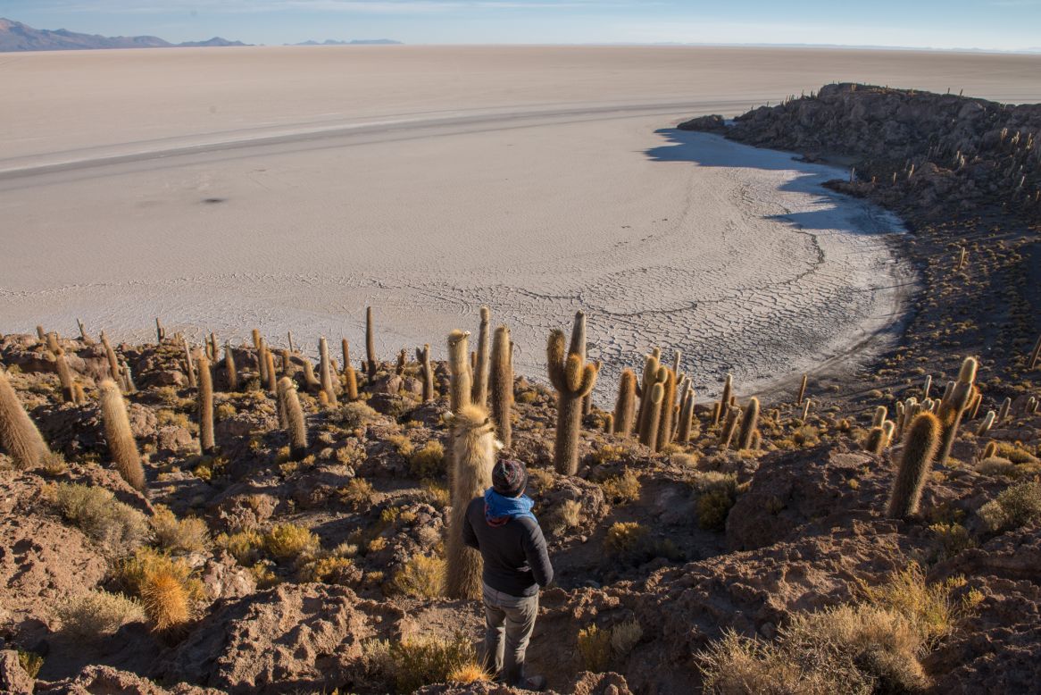 In the middle of the Salar de Uyuni, Isla Incahuasi pops up like something out of a dream. An island of giant cactus, it's the remains of a volcano that was submerged when the area was part of a prehistoric lake.   