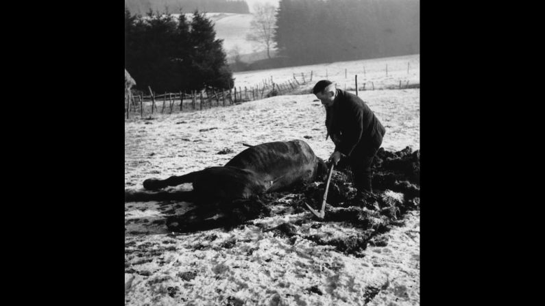 A farmer buries his horse that had been killed during the fierce fighting.