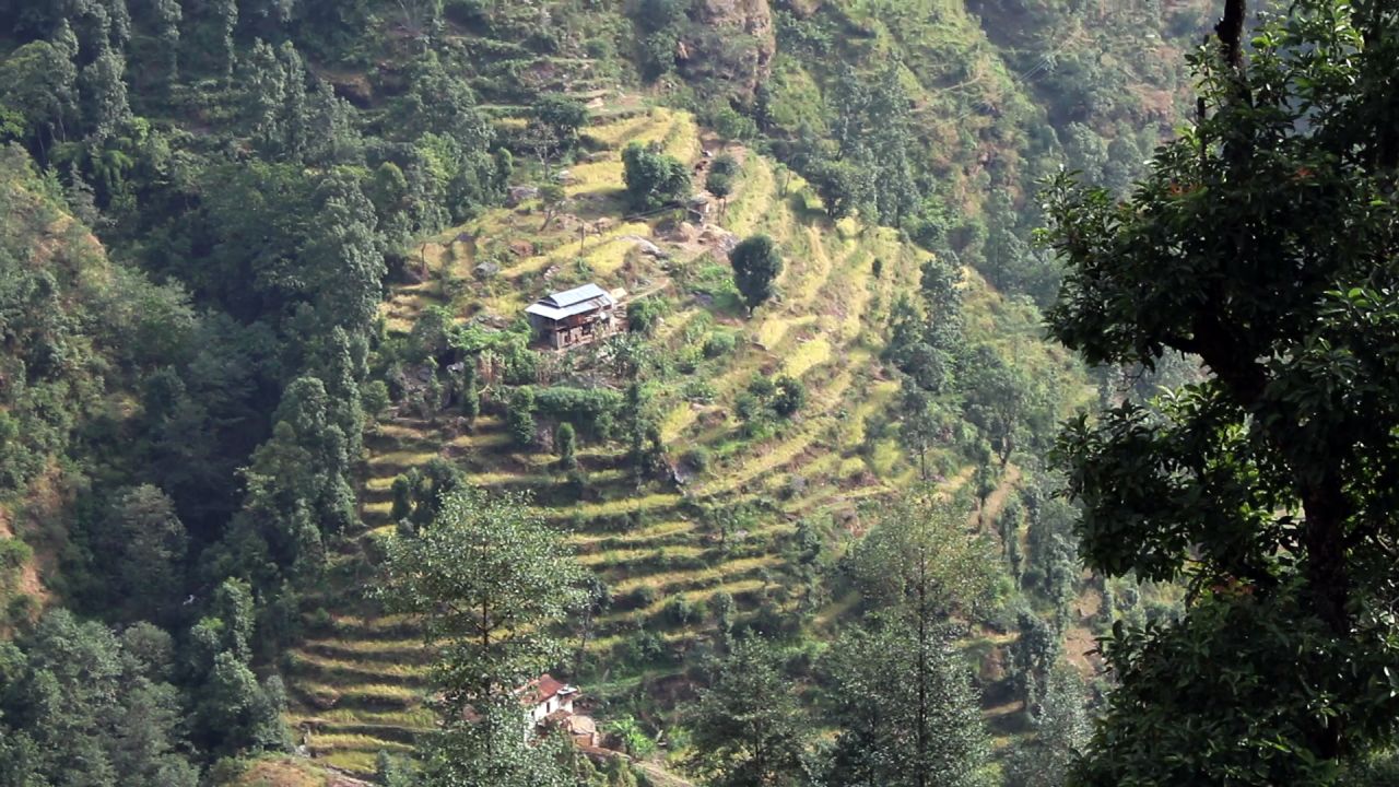About 70% of Nepal's population works in agriculture. Many farmers create terrace farms in the mountain, but they say it's becoming more difficult to grow crops.