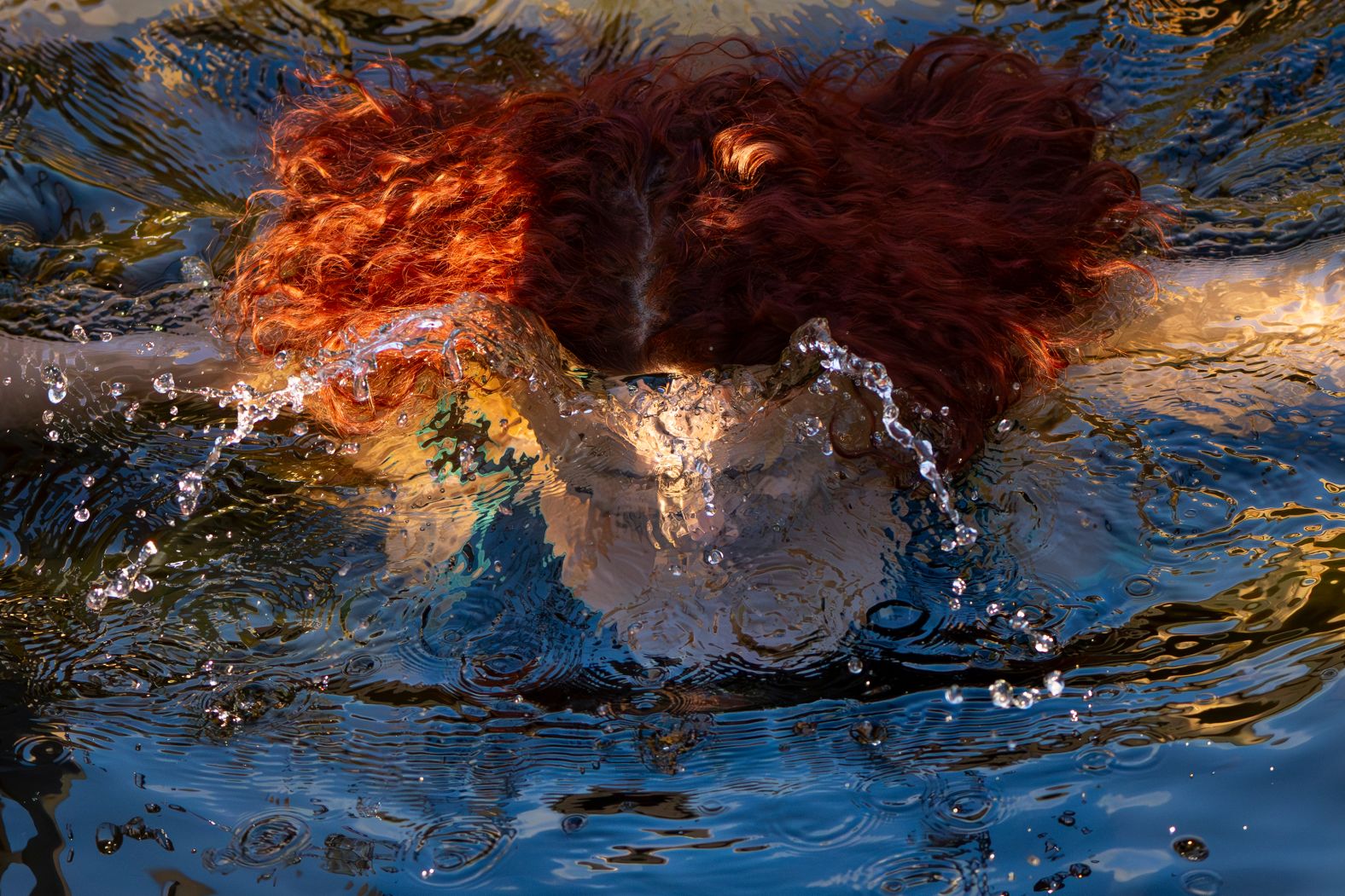 A woman dives into icy water in Moscow while celebrating the Orthodox Epiphany on Sunday, January 19.