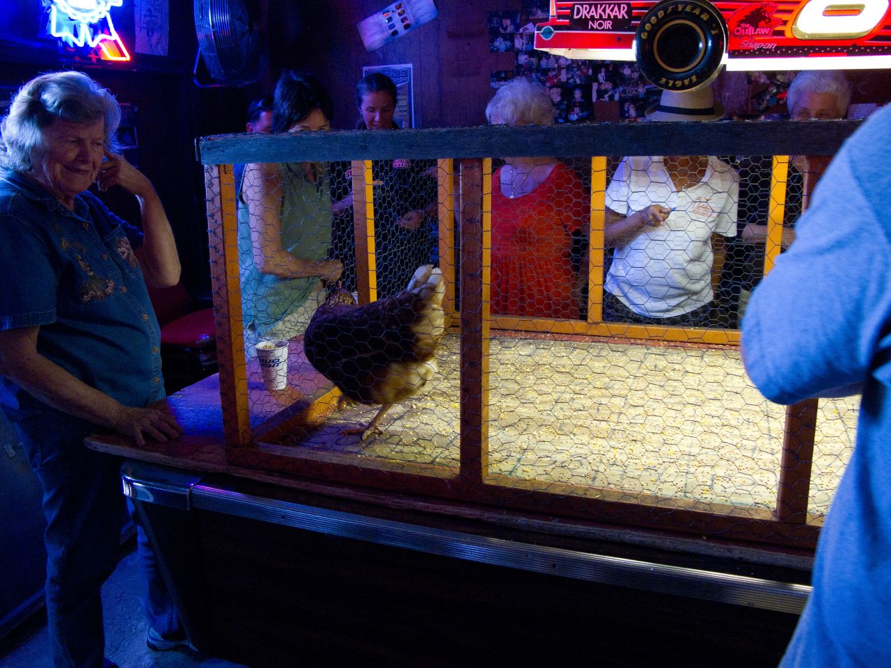 Chicken poop can make your day at this Austin bingo game.