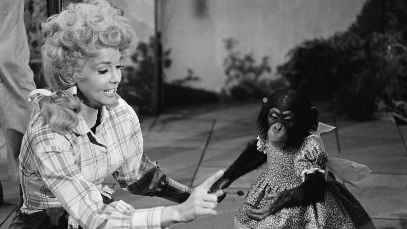 <a href="index.php?page=&url=http%3A%2F%2Fwww.cnn.com%2F2015%2F01%2F02%2Fshowbiz%2Ftv%2Ffeat-donna-douglas-beverly-hillbillies-elly-may-dead%2Findex.html">Donna Douglas</a>, who played voluptuous tomboy daughter Elly May Clampett on the 1960s TV series "The Beverly Hillbillies," died January 2. She was 81.