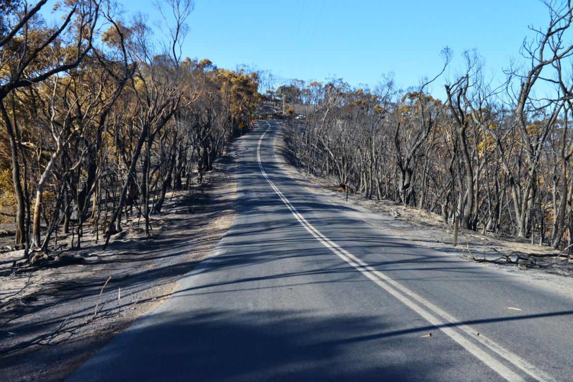 Burned trees line a road near the town of Kersbrook after a bushfire moved through the Adelaide Hills area on Monday. Firefighters are bracing themselves for temperatures of 38°C (100ºF) this week.