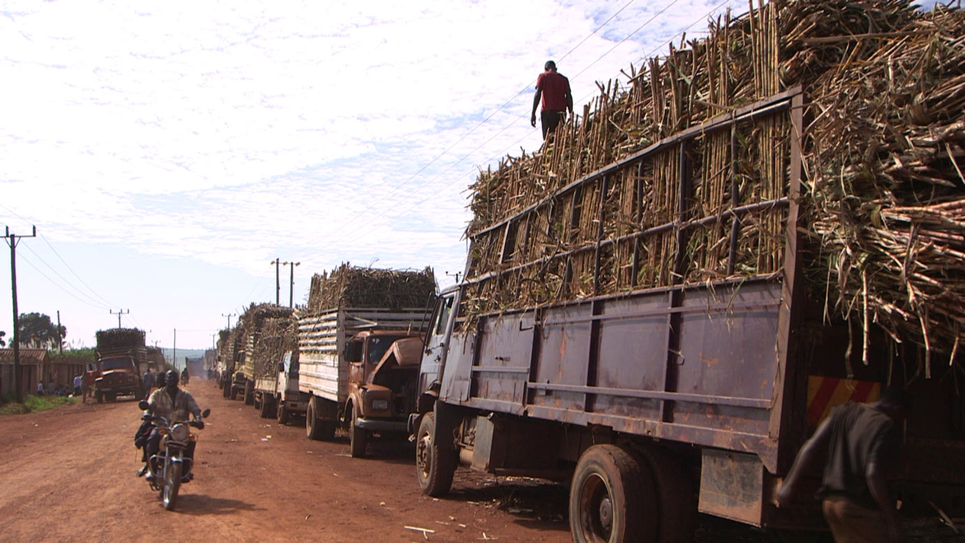 Sugar is big business in Uganda. These trucks loaded with sugar cane are heading for the factories of Kakira Sugar Limited -- one of the east-central African country's oldest and largest sugar companies. 