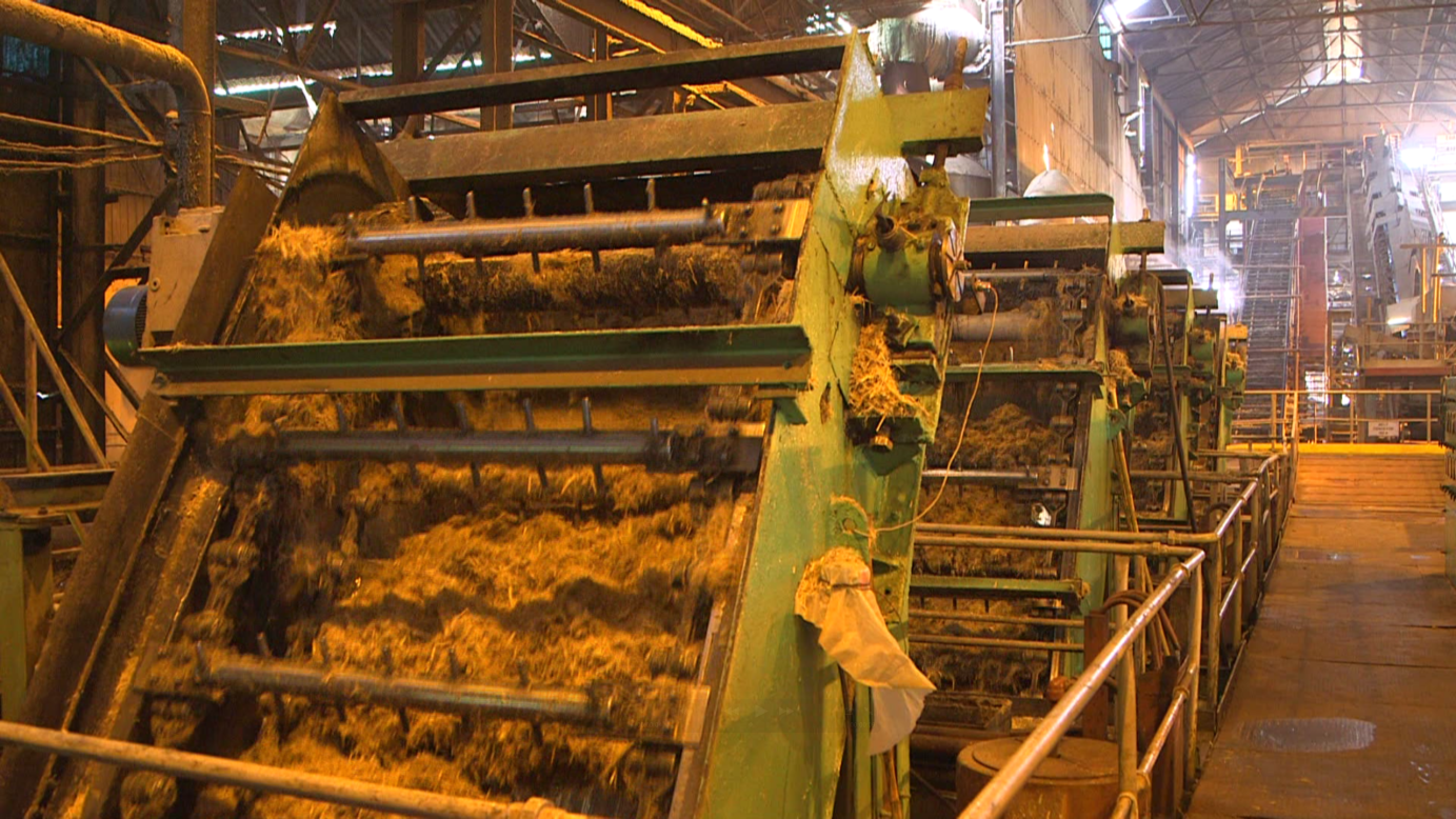 Kakira was once producing about 50% of all the sugar produced in Uganda, according to the company's assistant general manager, Kenneth Barungi.