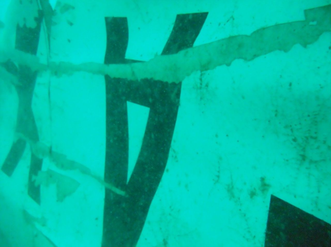 Writing could be made out, showing the AirAsia insignia and other identifying features. The find is important because the plane's flight recorders were located in the tail section.