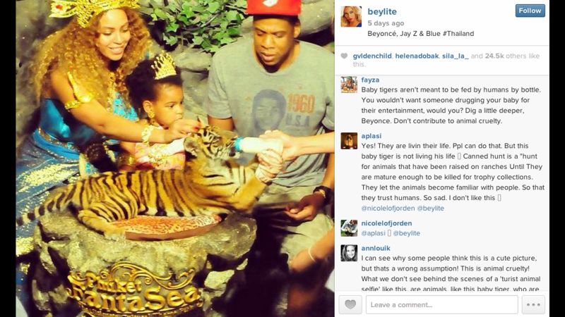 Animal groups criticize Beyonce for tiger encounter | CNN