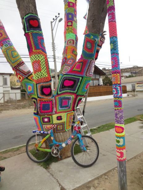 A large tree, bicycle and lamp post display colorful yarn-bombing creations made by Lanapuerto.