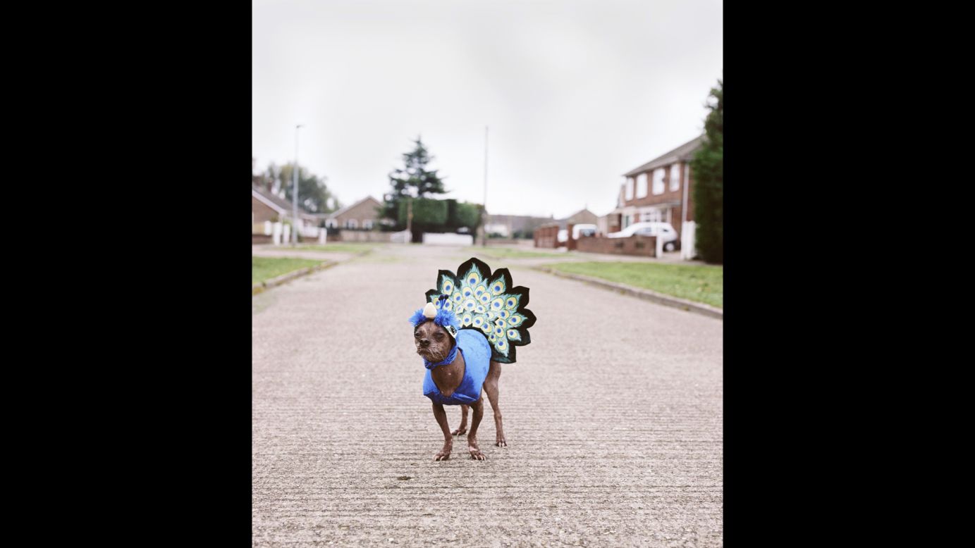 Mugly is often entered in fancy dress competitions. He has many different costumes, including this peacock outfit.