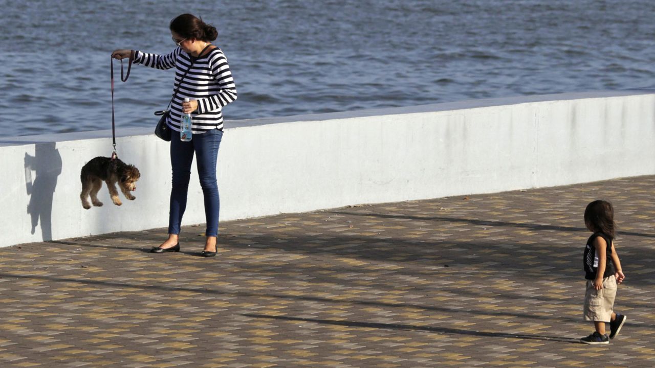 A woman lifts a dog on a leash in Panama City, Panama, on Tuesday, January 6.