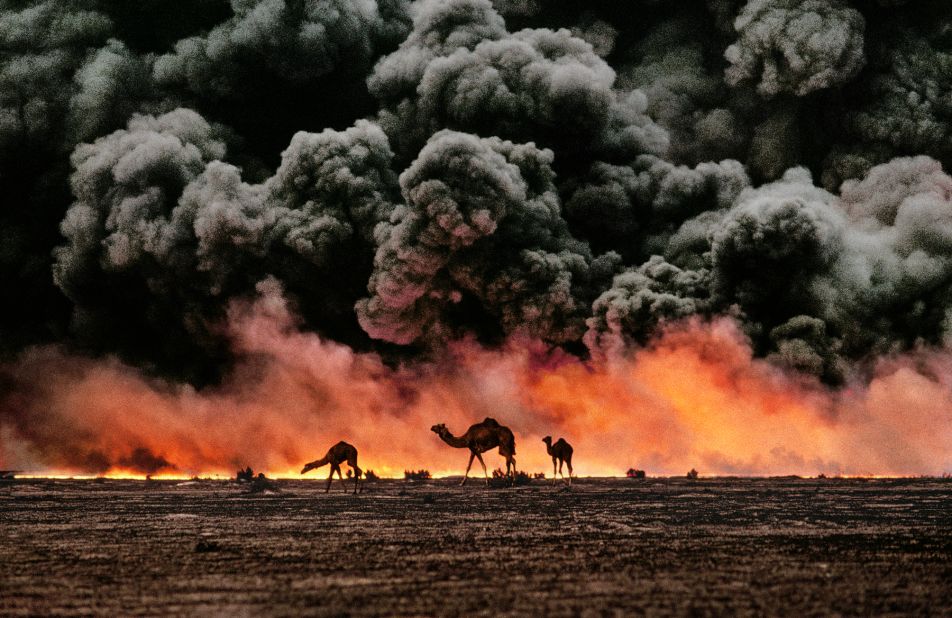 Camels pass burning oil fields during the 1991 Gulf War.