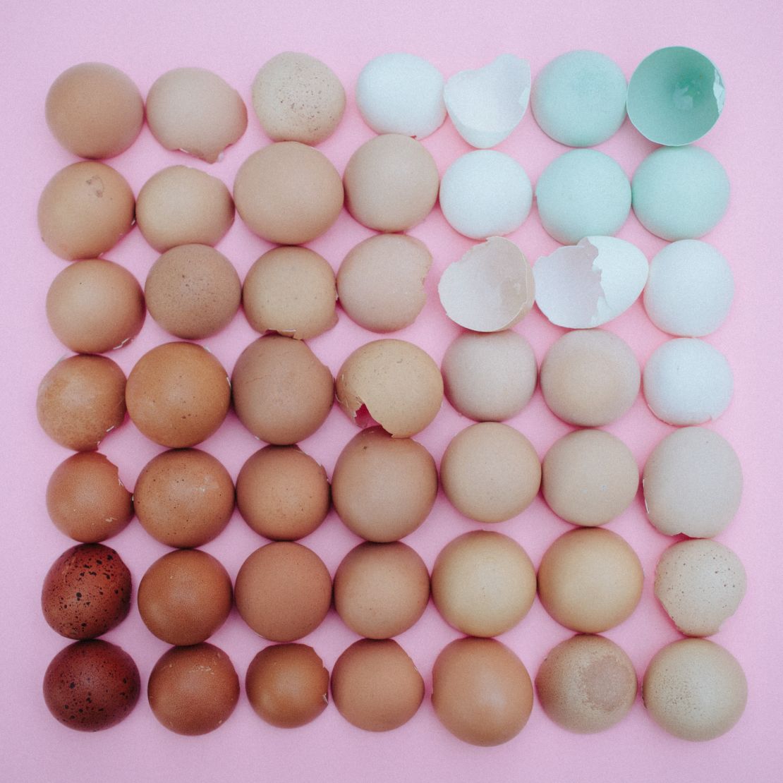 emily blincoe arrangements egg shells