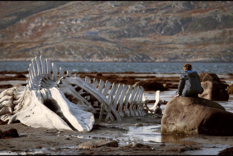 <strong>Best foreign language film: </strong>"Leviathan" (Russia)