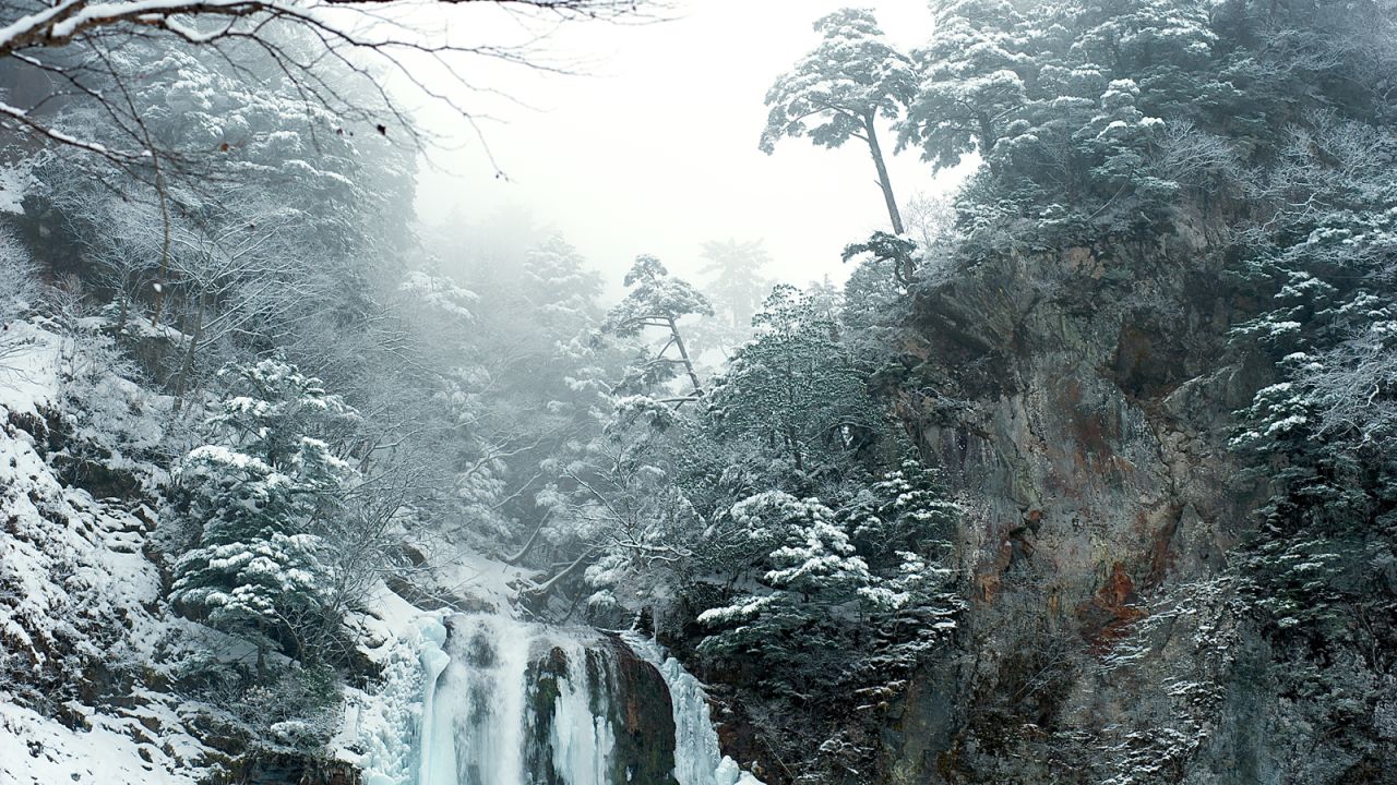Los árboles y las cascadas congeladas son buenos temas para la fotografía de invierno.