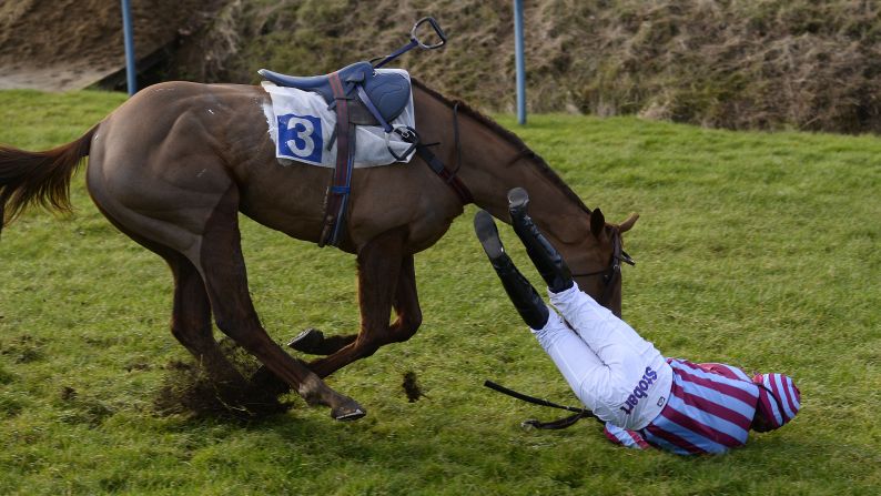 Lizzie Kelly falls off Benefique Royale during a race Thursday, January 8, in Leicester, England. She was not seriously hurt.