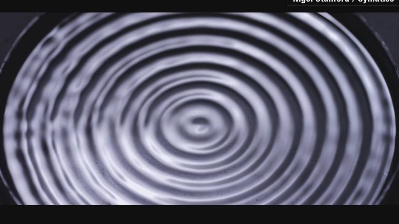 cymatics science vs music nigel stanford orig mg_00011105.jpg