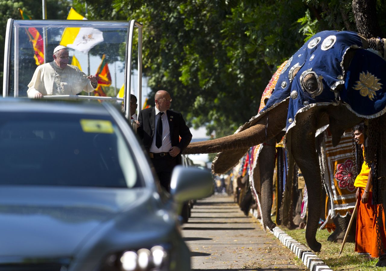 The Pope waves as he passes a row of decorated elephants in Colombo on January 13.