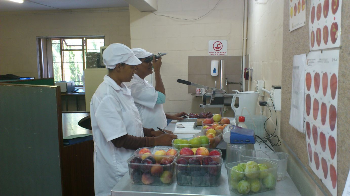 Samples of fruit processed at the facility are closely inspected and tested.