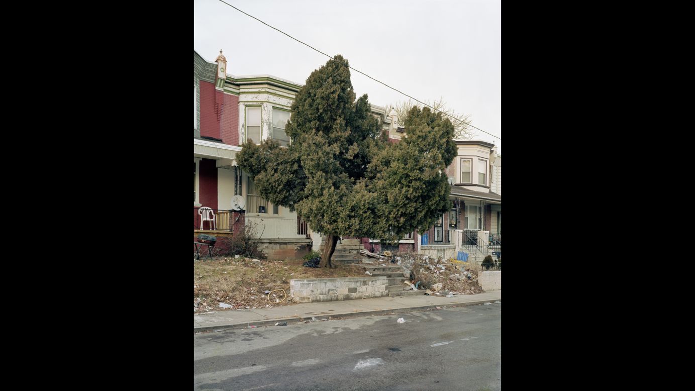 A tree at 38th and Pennsgrove Streets.