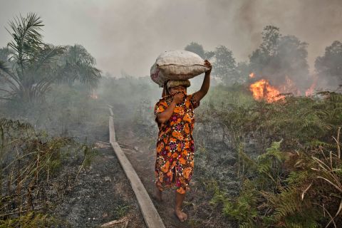 A woman walks through a smoky haze in Siak Regency, Riau Province, Indonesia, during the burning of forests there in 2013. Eight farmers were arrested for setting fires on Sumatra Island, and fires are also common on Borneo. 