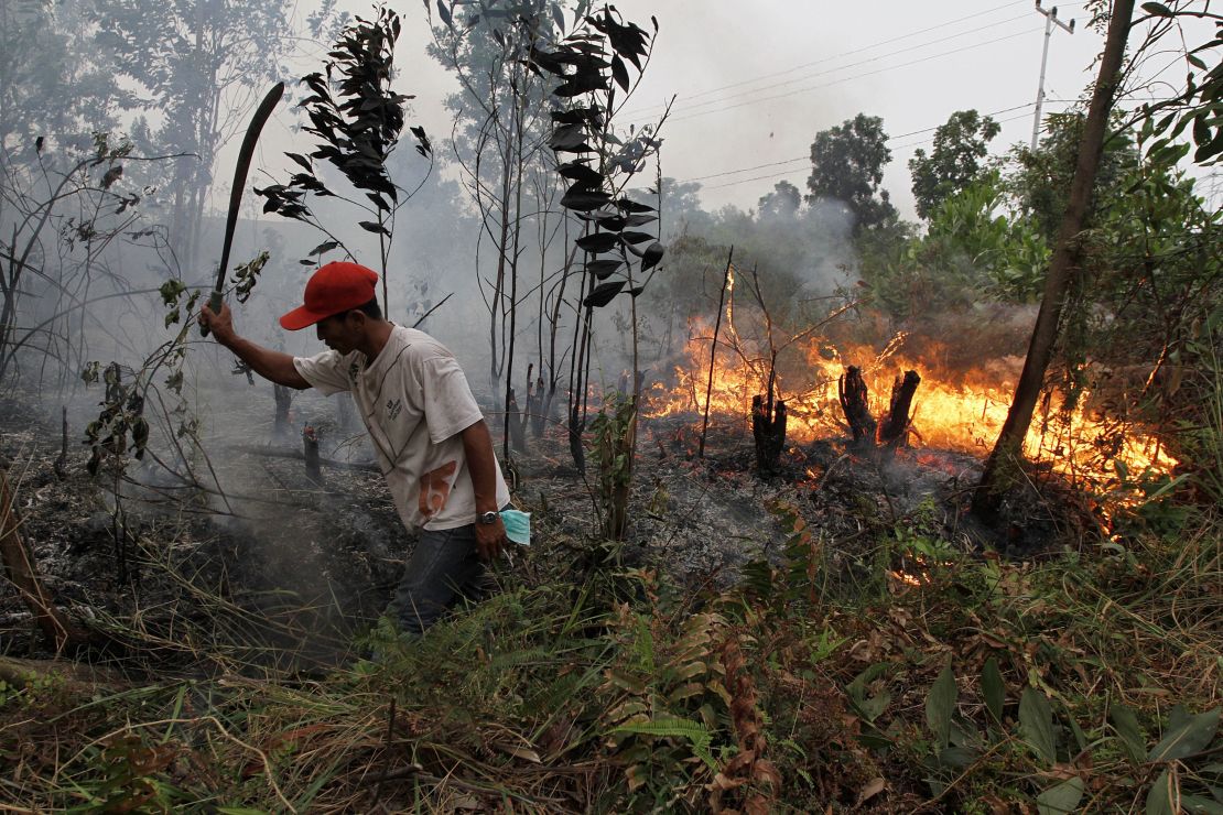 A resident attempts to put out a fire spreading through a plantation in Dumai district, Riau province, Sumatra, March 3 2014.