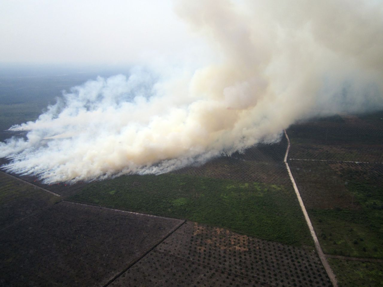 Smoke billowing from fires in areas surrounded by plantations in Riau province, on Indonesia's Sumatra island, about 173 miles west of Singapore on June 17 2013. On June 20, Singapore demanded "definitive" action by Indonesia on forest fires raging in Sumatra as the nations prepared for emergency talks to ease the severe smog enveloping Singapore.