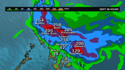 Forecast shows rainfall amounts in millimeters for the next 48 hours when a typhoon will hit the Philippines.