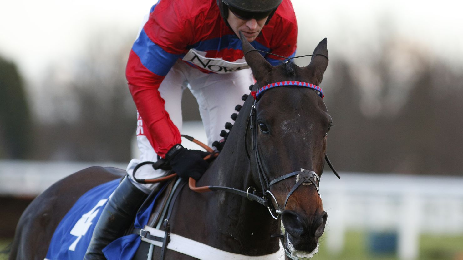 Sprinter Sacre returned to the fray after 13 months on the sidelines with a heart problem