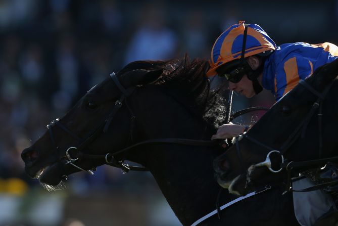 También ha resquebrajado a América con grandes victorias, entre ellas esta con Magician, para ganar el Turf durante el Campeonato Mundial de la Copa de Criadores en Santa Anita Park en 2013.