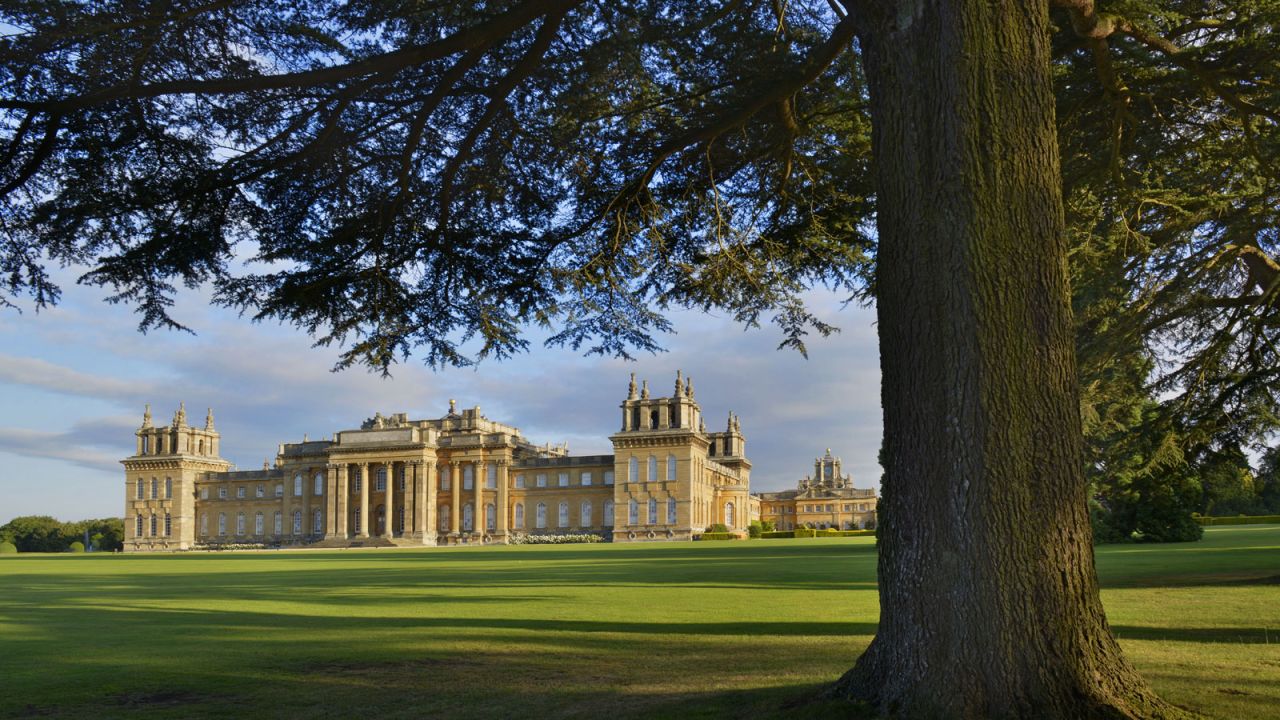 Highlights at Blenheim Palace include visits to the chapel where he was baptized and the Temple of Diana where Churchill proposed to Clementine, his wife.
