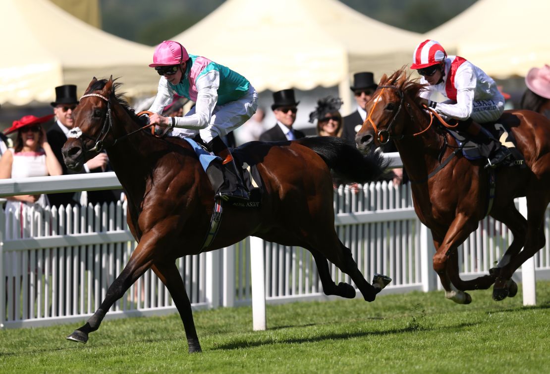 A throroughbred races to the finish line at Ascot in 2014. 