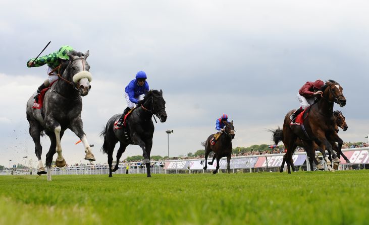 Another horse in at No. 3 is The Grey Gatsby (far left). Ryan Moore rode him to victory at the Irish QIPCO Champion Stakes in September, muscling out favorite Australia on the final straight.