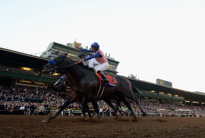 And in ninth place goes to Bayern. Jockey Martin Garcia is pictured atop Bayern as he celebrates winning November's Breeders' Cup Classic at Santa Anita Park, California. Bayern fended off their main competition, Toast Of New York, winning by a nose in front of a 61,000 strong audience. German-bred Sea the Moon was also ranked joint ninth in the list.