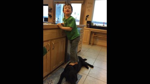PETA criticized Sarah Palin in January after she posted this photo of her 6-year-old son, Trig, stepping on a family dog to reach the kitchen sink. "Dear PETA," Palin responded via Facebook. "Chill. At least Trig didn't eat the dog."