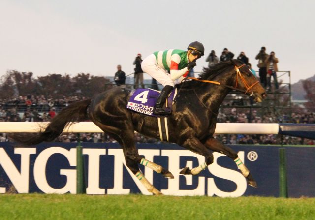 In at No. 2 is another Japanese thoroughbred. Four-year-old colt Epiphaneia and rider Christophe Soumillon flew to victory at the Japan Cup in November, finishing four lengths ahead of Just A Way. Their winning time for the 2400m race was two minutes and 23.1 seconds.