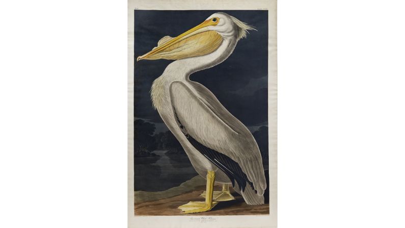 A painting of a white pelican, Bacall's favorite bird, is estimated to fetch $60,000.