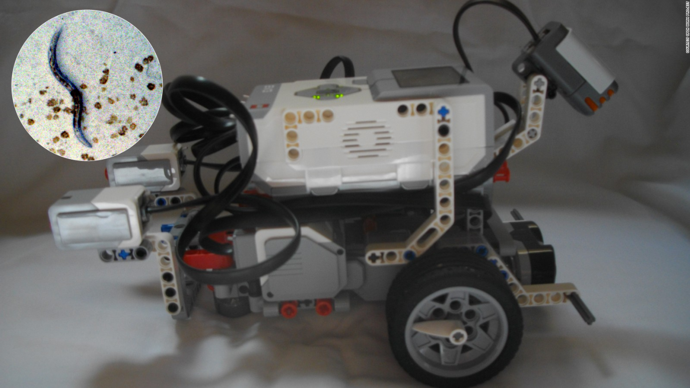 Aunque los desarrolladores dicen que aún falta mucho para que el robot Lego evite a los depredadores o busque una pareja, los científicos dicen que el proyecto demuestra que la inteligencia artificial (o AI por sus siglas en inglés) está dejando de ser ciencia ficción. 