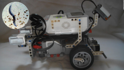 While the developers say it will be some time before the Lego bot will be avoiding predators or searching for a mate, scientists say the project shows that artificial intelligence, or AI as it is known, is coming out of the realm of science fiction.