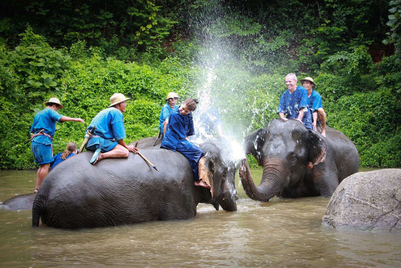 Lampang's Elephant Conservation Center was founded in 1993 and offers daily mahout (elephant trainer) sessions for tourists.