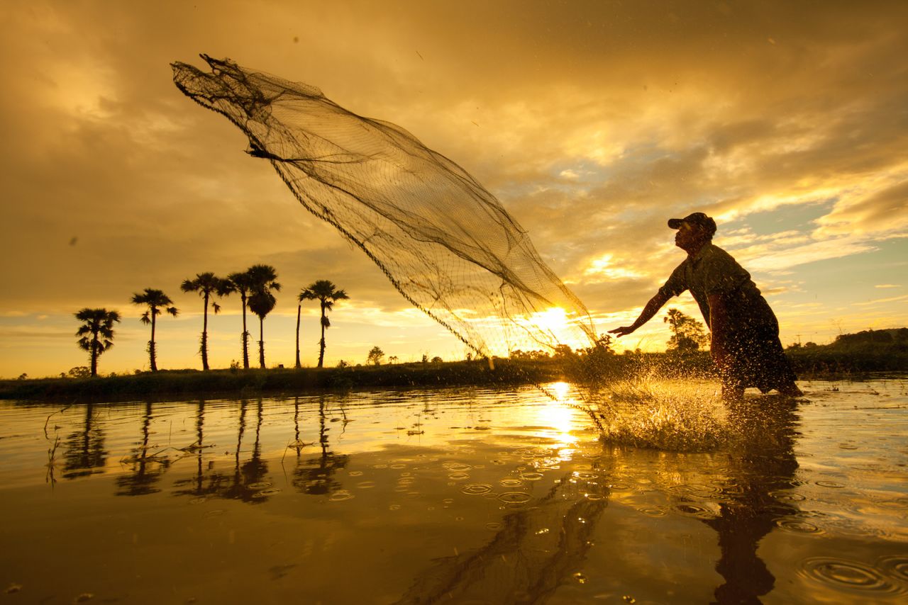A fisherman tries his luck in a watery rice paddy in Lampang's Hang Chat district.  