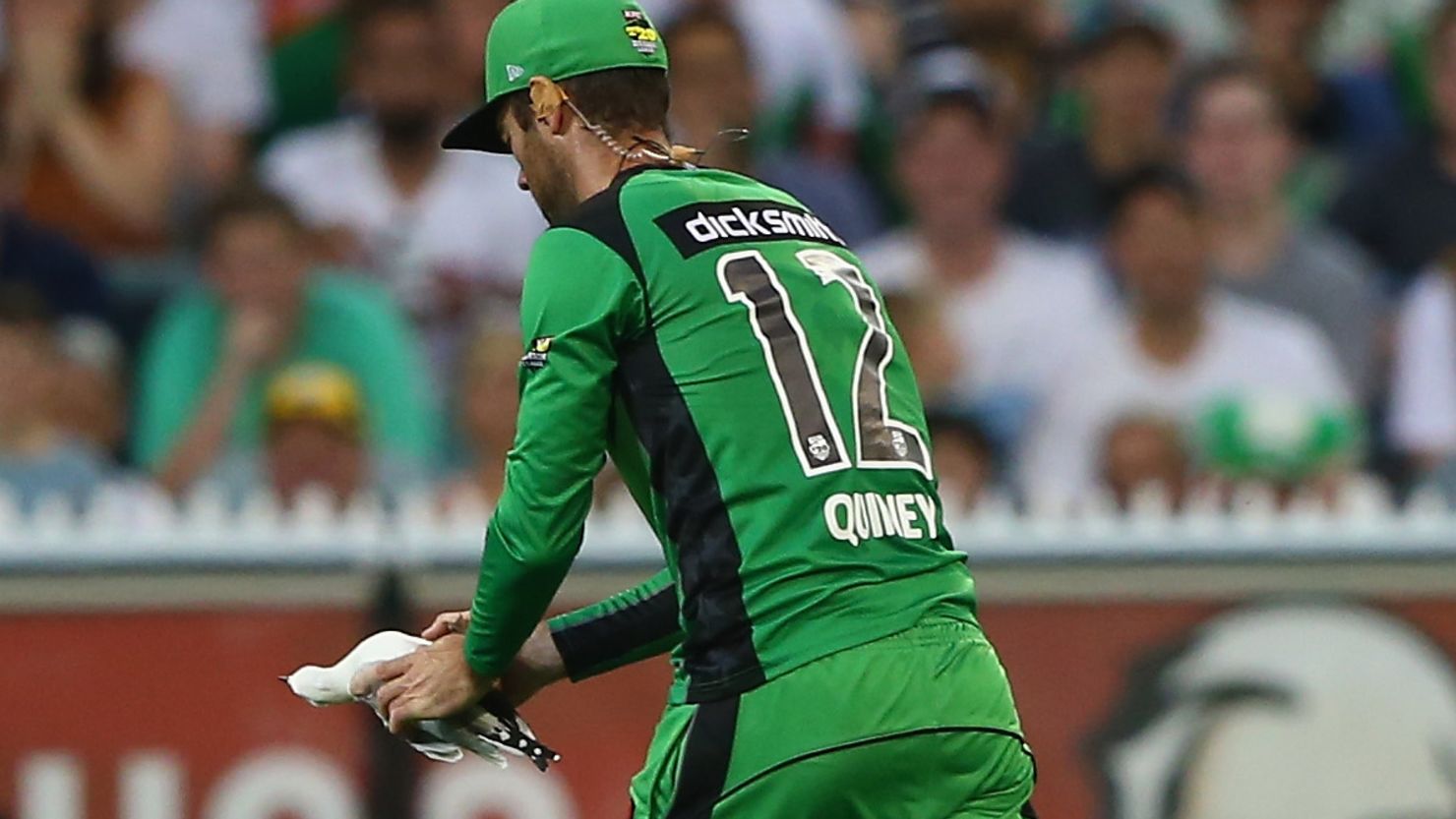Rob Quiney of the Melbourne Stars removes the seagull from the pitch after it was struck by a cricket ball.