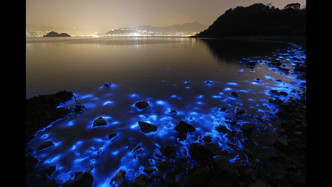 The glow from a Noctiluca scintillans algal bloom gives an eerie look to the Hong Kong seashore in this long-exposure photo taken Thursday, January 22. Farm pollution that can be devastating to marine life and local fisheries triggers the <a href="http://www.britannica.com/EBchecked/topic/351229/luminescence" target="_blank" target="_blank">luminescence</a>, according to University of Georgia oceanographer Samantha Joye. 