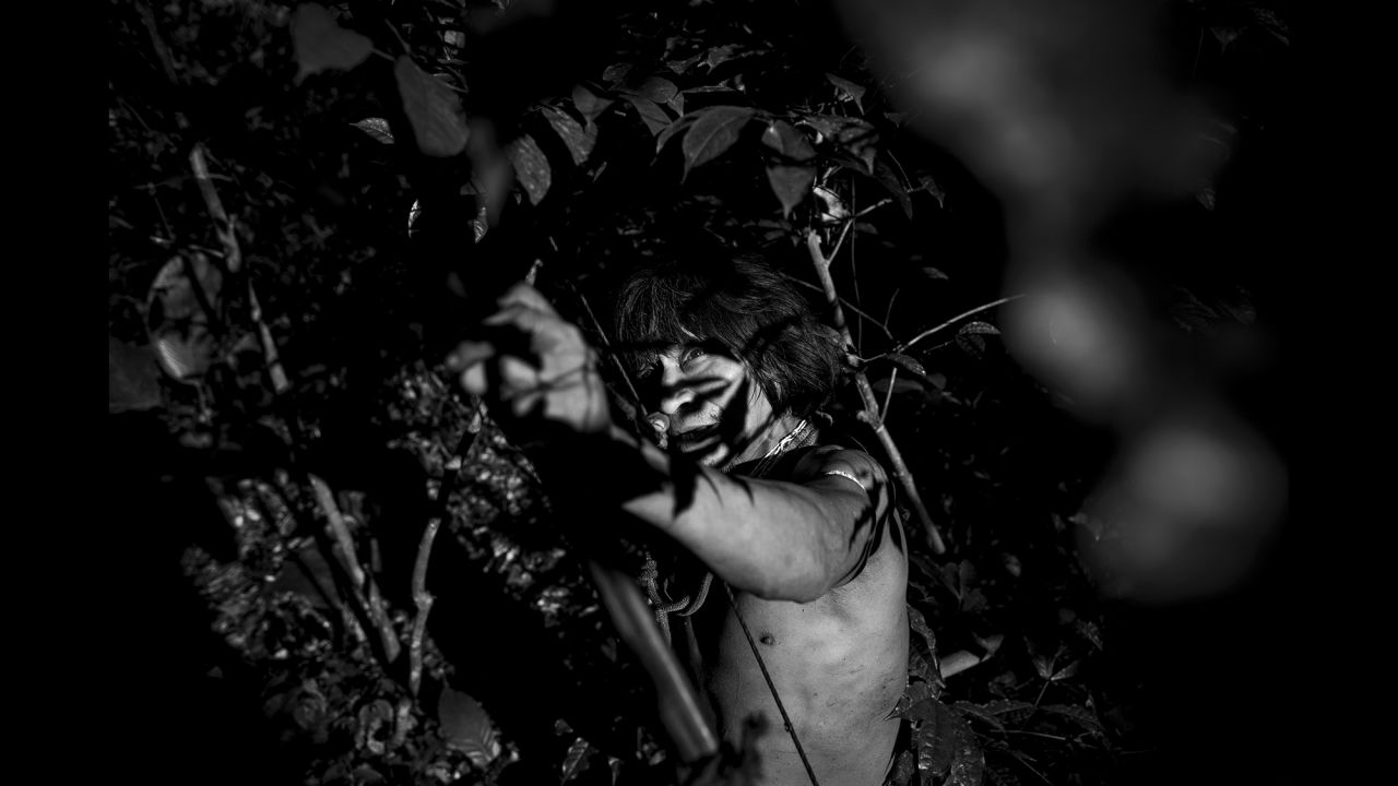 Muturuhum, a member of the Awa-Guaja tribe, uses a bow and arrow to hunt in the Amazon rainforest. Portuguese photographer Daniel Rodrigues spent time with the endangered tribe last year.