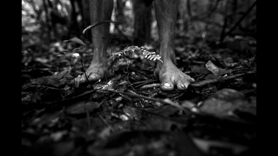 "We walked and walked for hours, slashing through the forest overgrowth to look for the prey," Rodrigues recalled. "The Awa were barefoot the whole time."
