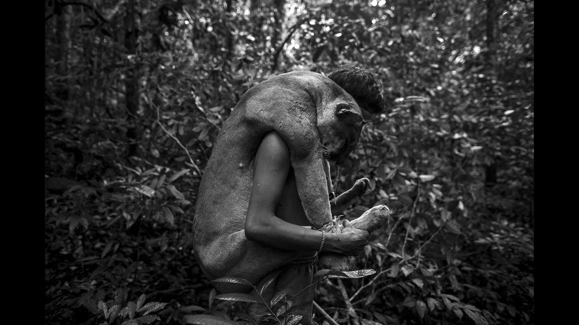 amazon rainforest tribes hunting