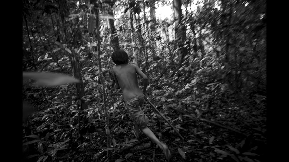 Arawata runs after seeing an animal in the jungle.