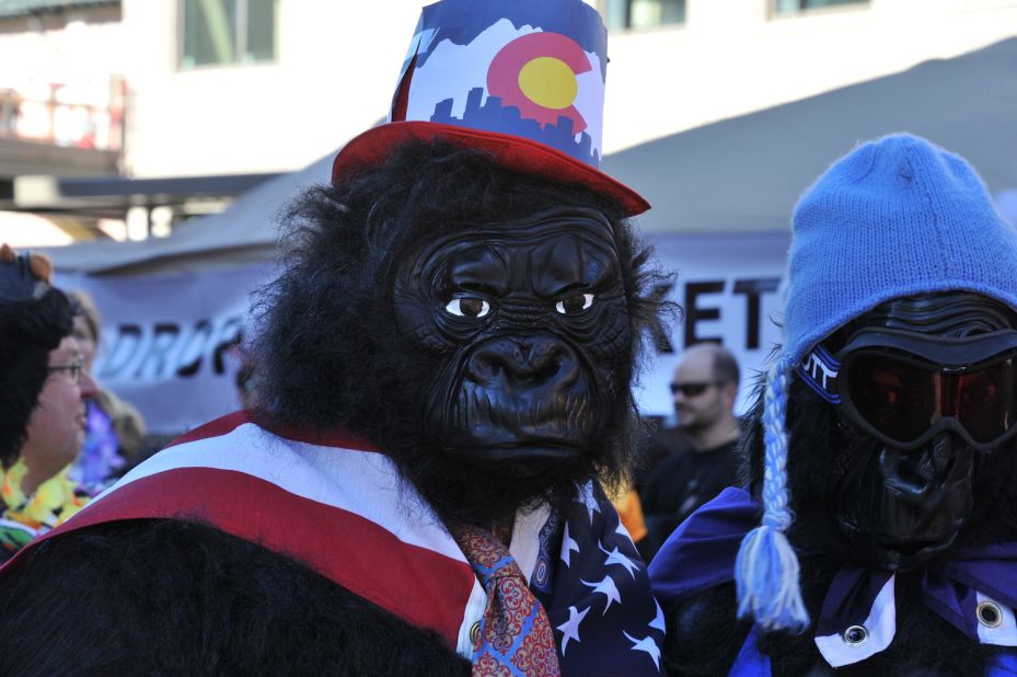 In this annual race, thousands of gorilla suit-wearing humans run five kilometers around Denver's city center to raise funds for the Mountain Gorilla Conservation Fund.