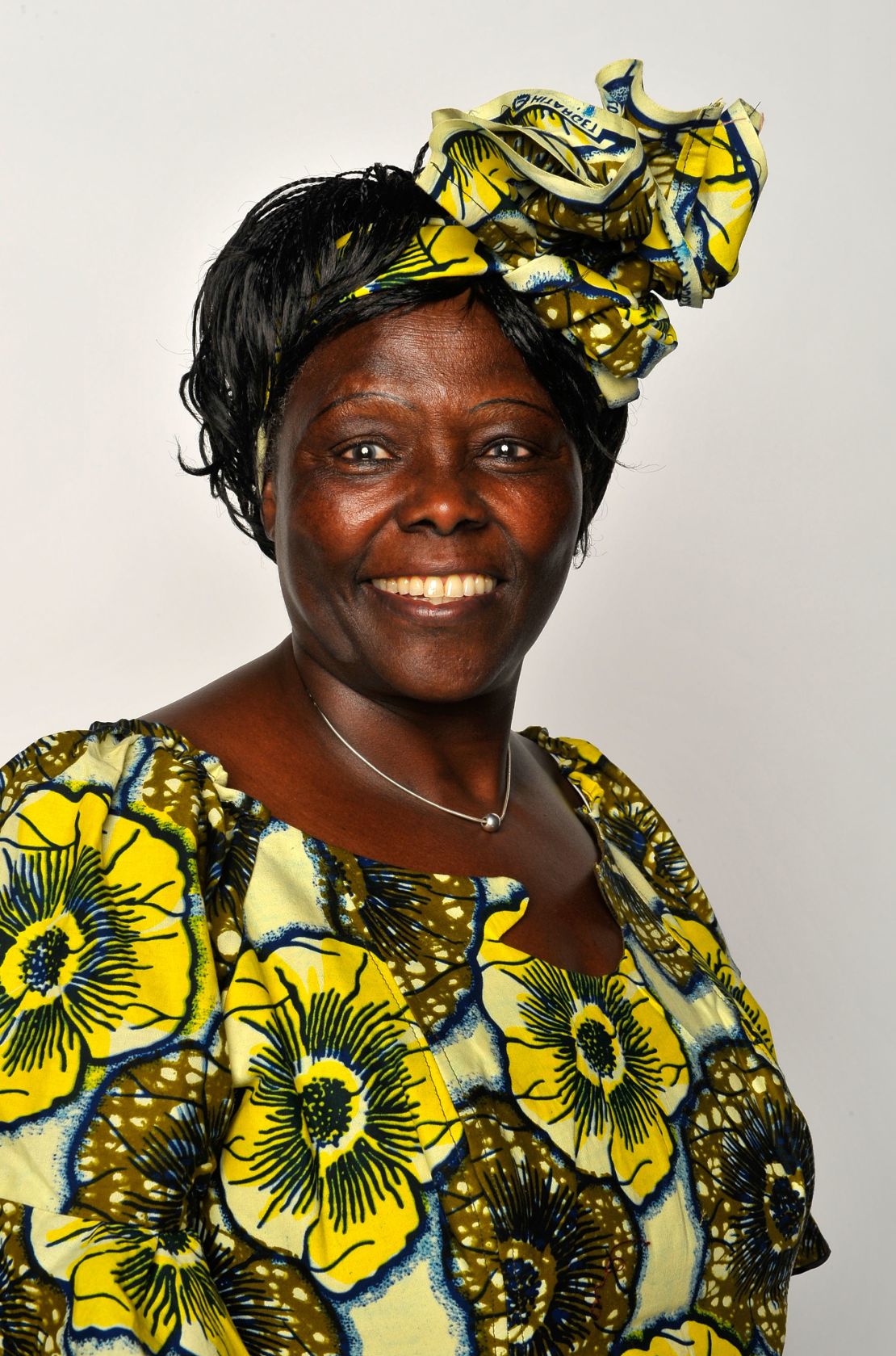 Political activist Dr. Wangari Maathai founded the Green Belt Movement in the 1970s.